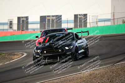 media/Feb-25-2024-Speed Ventures (Sun) [[b9a2a97a4d]]/Mustang Drivers Club/Session 1 (Turns 4 and 5)/